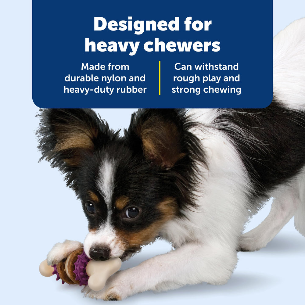 PetSafe Bristle Bone, protuberancias de goma para masaje de encías al masticar.