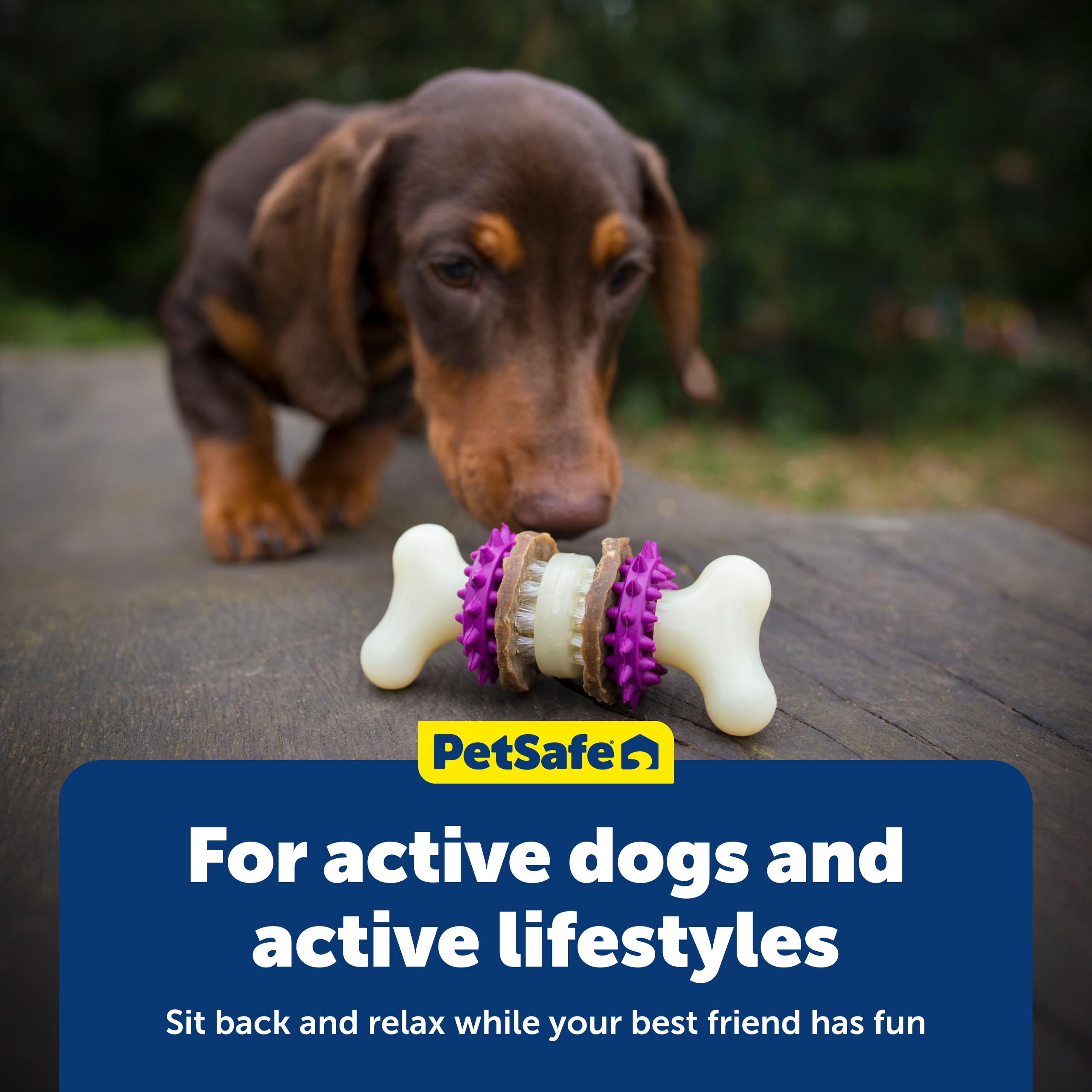 PetSafe Bristle Bone canaliza instintos de morder de forma segura