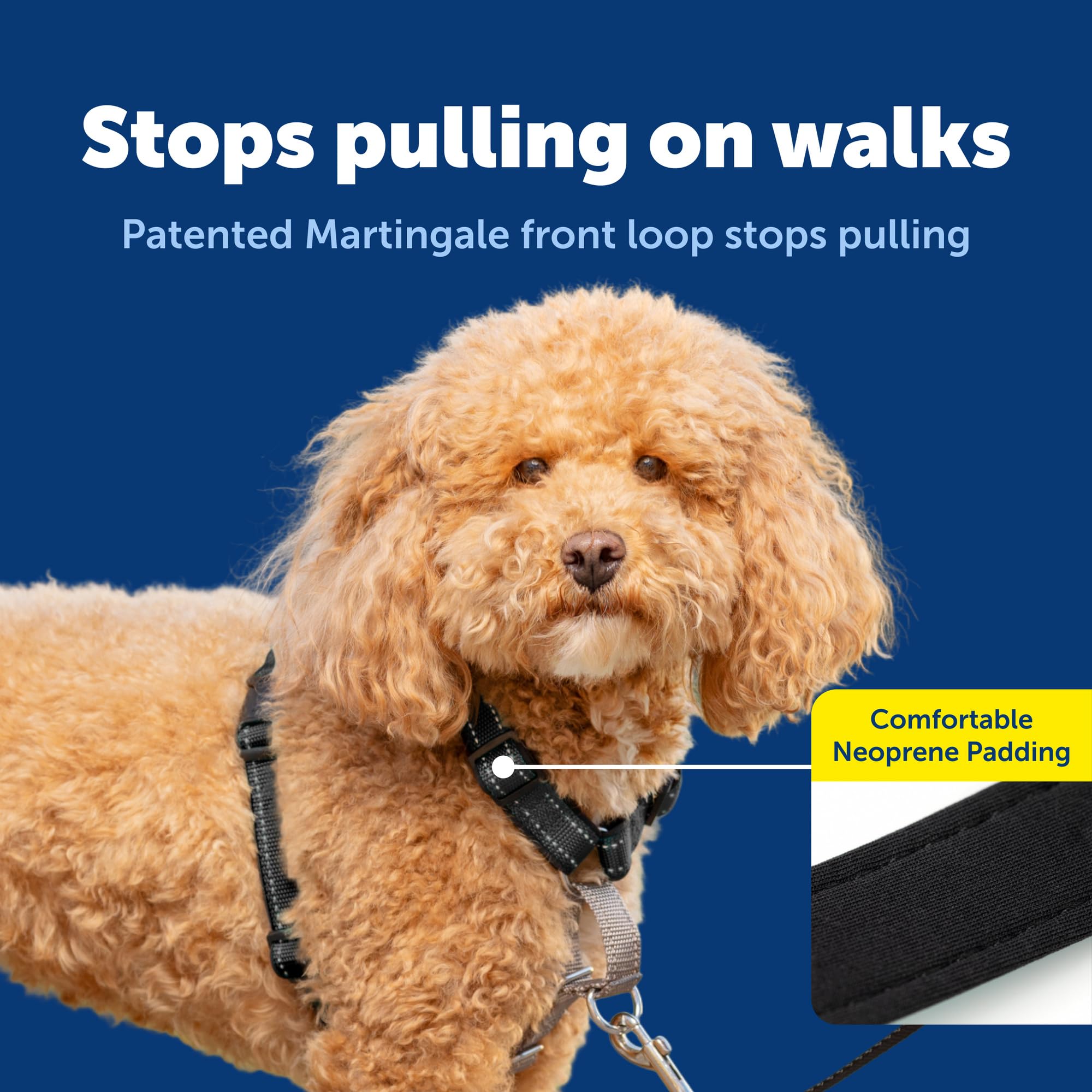 PetSafe bucle martingala frontal para entrenamiento suave