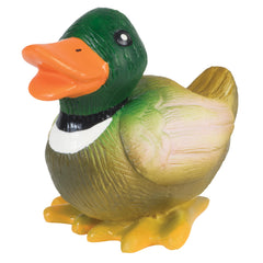 PetSafe pato de látex frente para juego interactivo y duradero