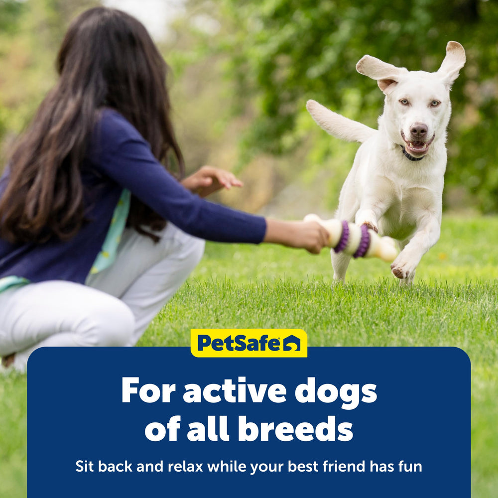 Empaque sellable que mantiene la frescura de los 24 anillos Busy Buddy PetSafe.