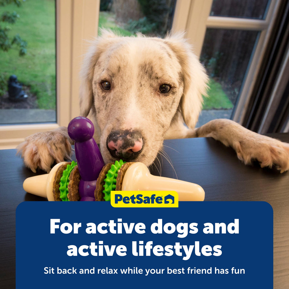 PetSafe Busy Buddy Jack: promueve una masticación enfocada y segura