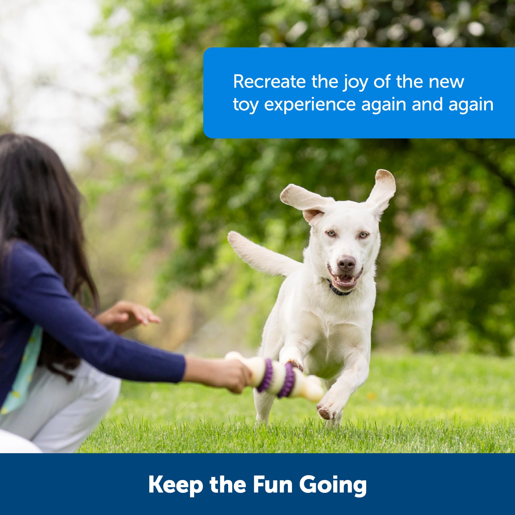 PetSafe Busy Buddy: perro-jugando-con-juguete para juego interactivo y estimulación.