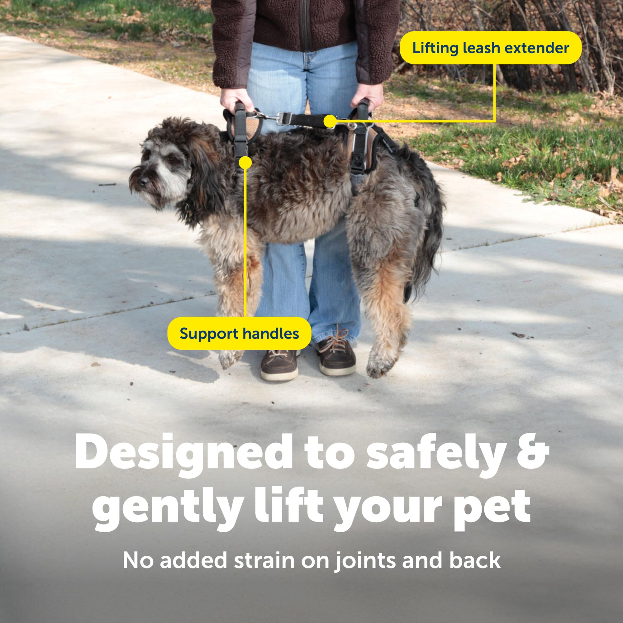 PetSafe CareLift apoyo posoperatorio para traslado seguro