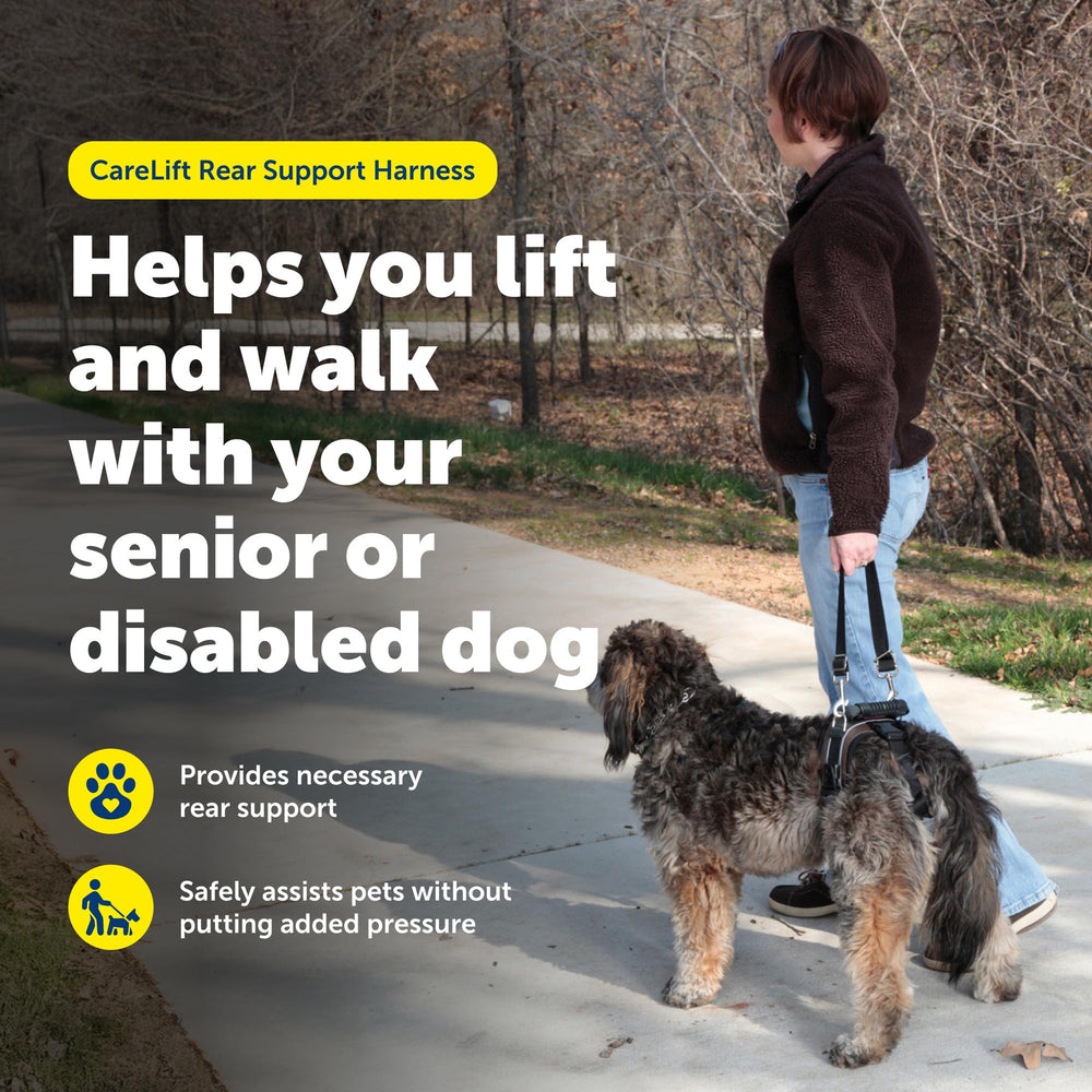 Petsafe CareLift sujeción trasera: ajuste seguro para comodidad durante paseos.