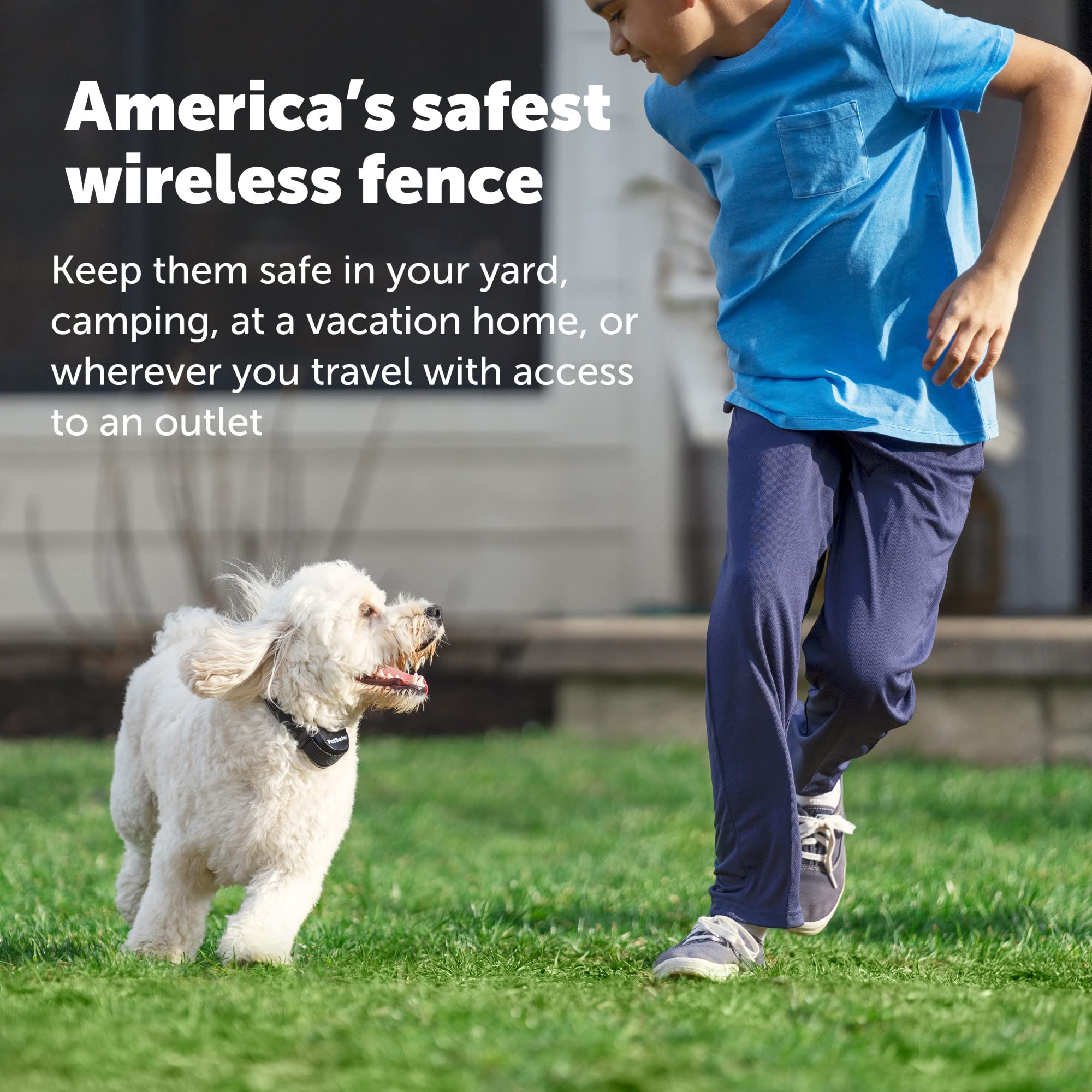 PetSafe collar ajustable de 6 a 28 pulgadas para perros
