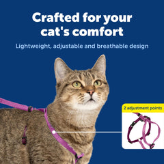 PetSafe Come With Me Kitty correa-elástica dusty-rose ofrece estímulo suave para modales