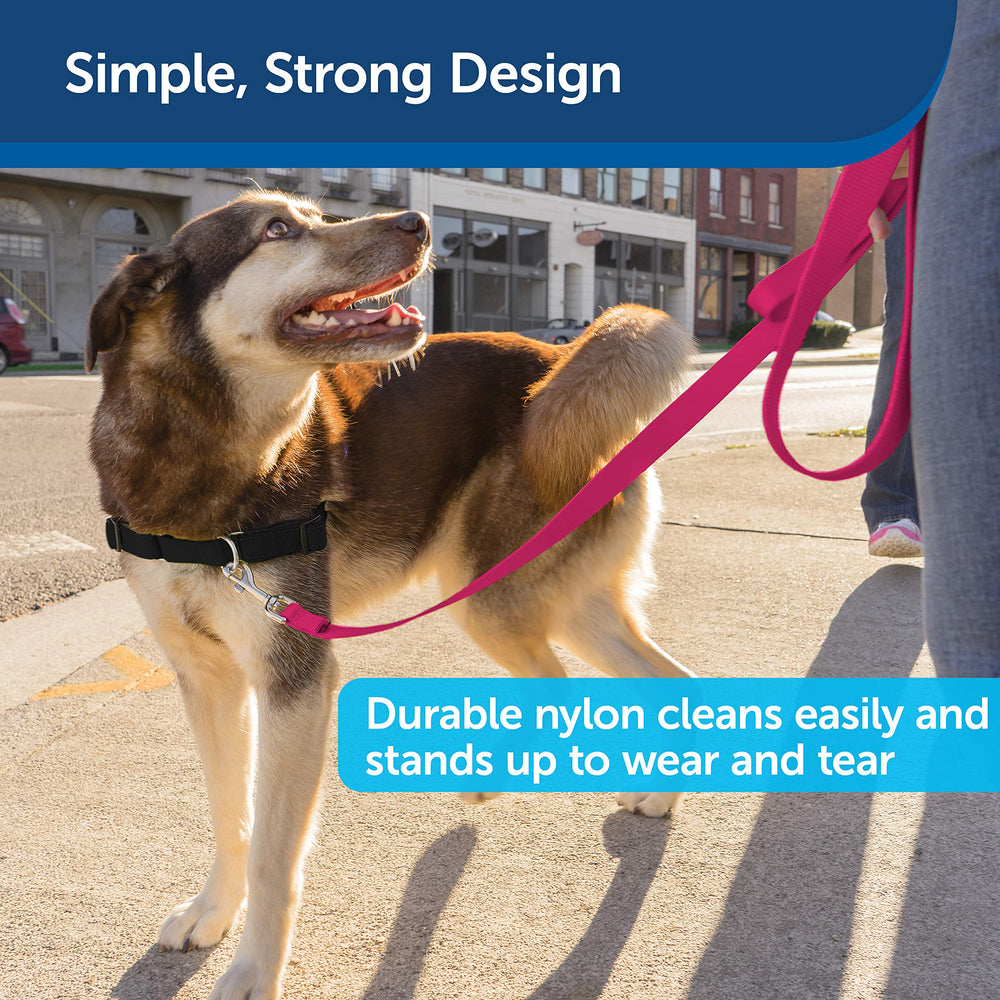 PetSafe: compatibilidad con arnés y accesorios de entrenamiento.