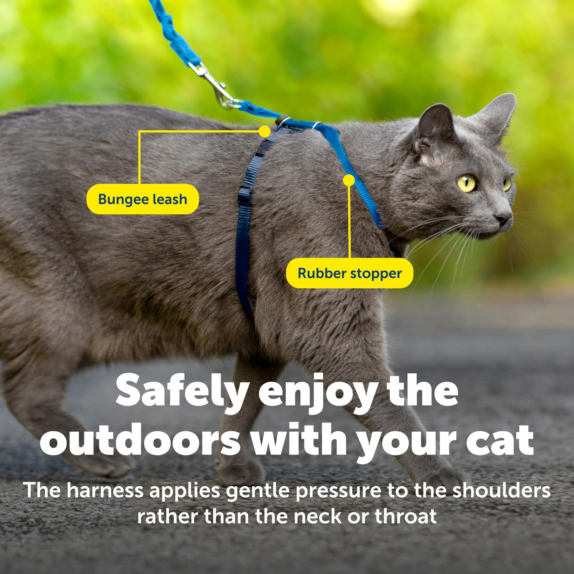 PetSafe correa elástica para gato permite entrenamiento suave y control.