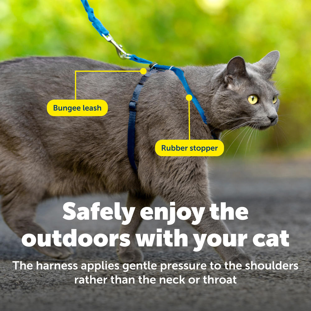 PetSafe correa elástica para gato permite entrenamiento suave y control.