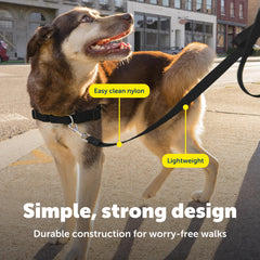 Diseño ligero de la correa PetSafe para caminar cómodo