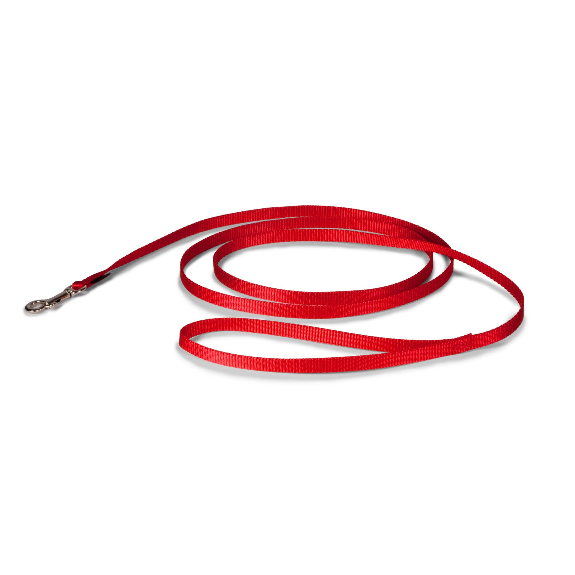 PetSafe correa nylon para perro, estilo tradicional, ideal para paseos diarios.