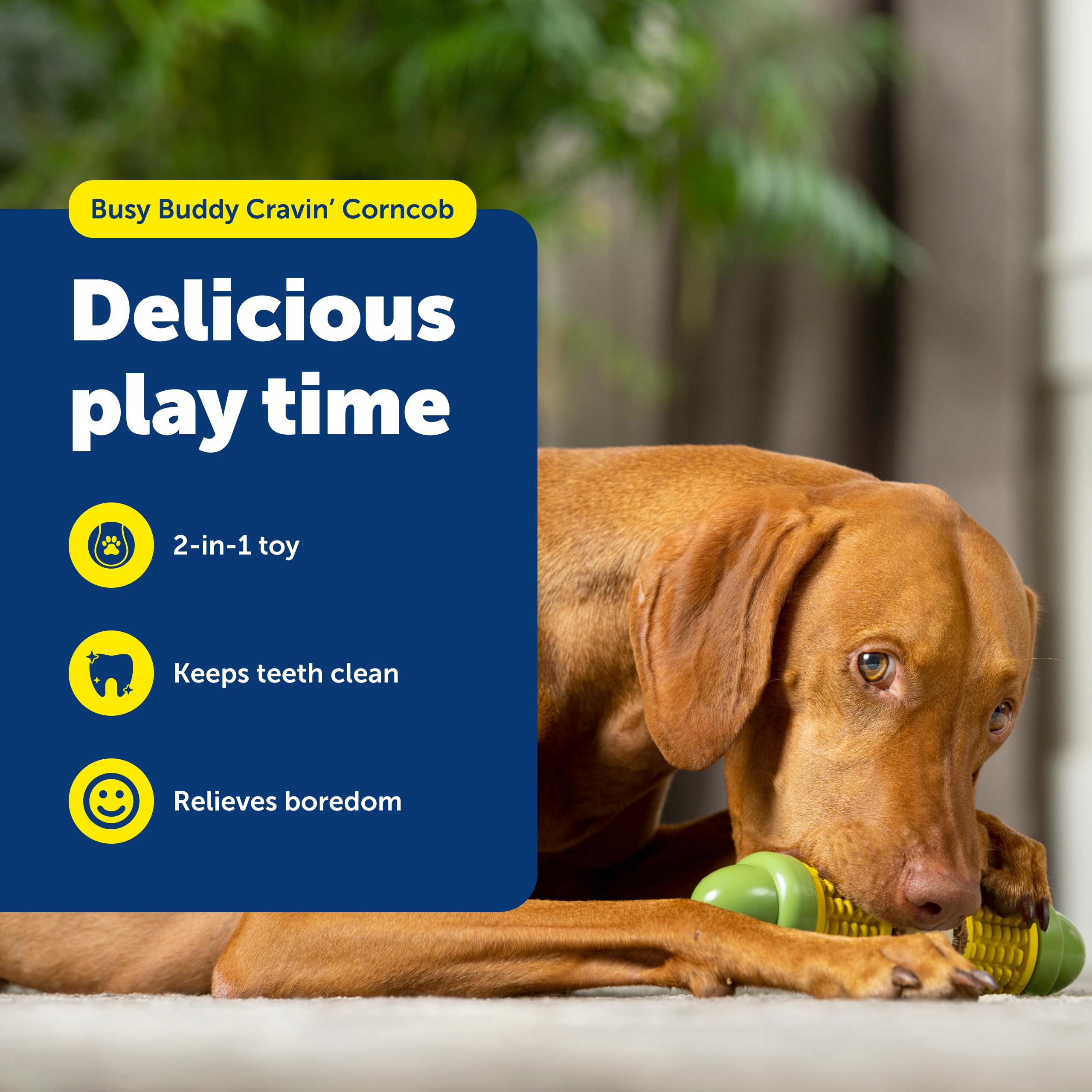 PetSafe Cravin' Corn anillos rellenos optimizan recompensa y entretenimiento.
