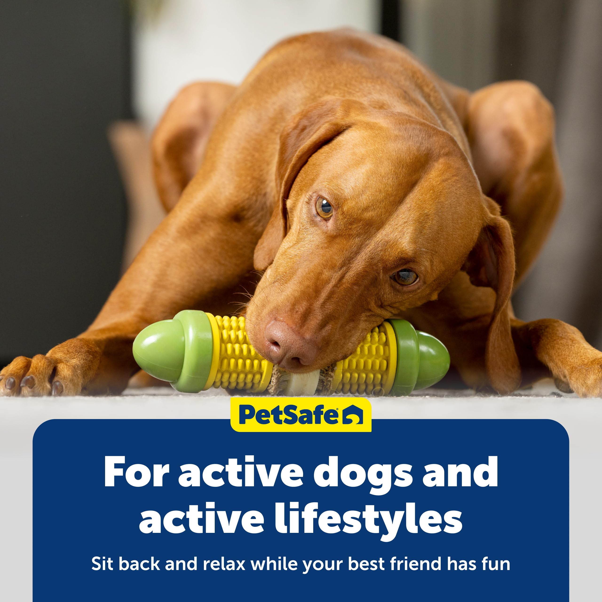 PetSafe Cravin' Corn montaje rápido y uso sin desorden durante el juego.