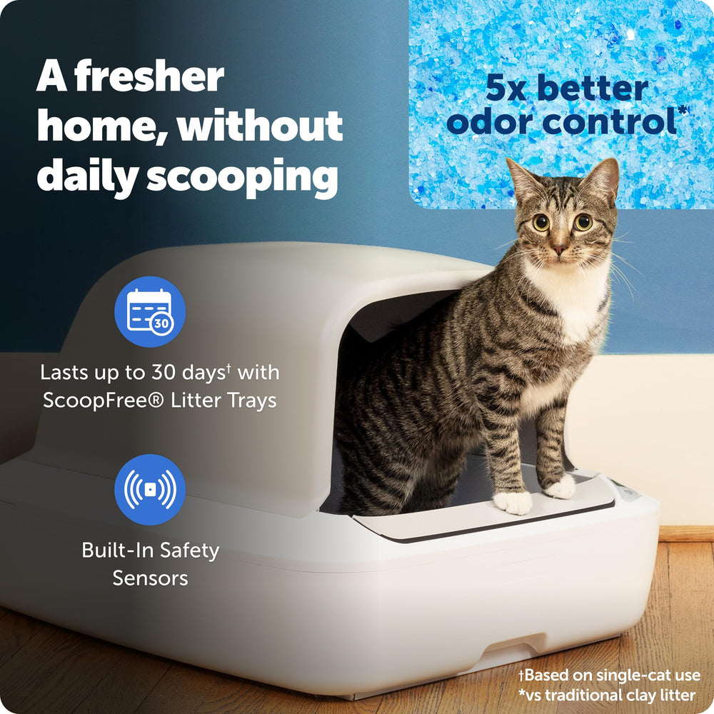 PetSafe Crystal Pro: bandeja cristal descartable para control de olores prolongado.