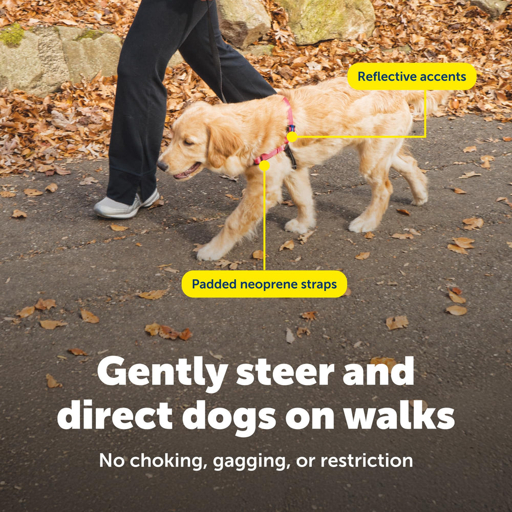 PetSafe Deluxe Easy Walk ajuste rápido para un ajuste seguro