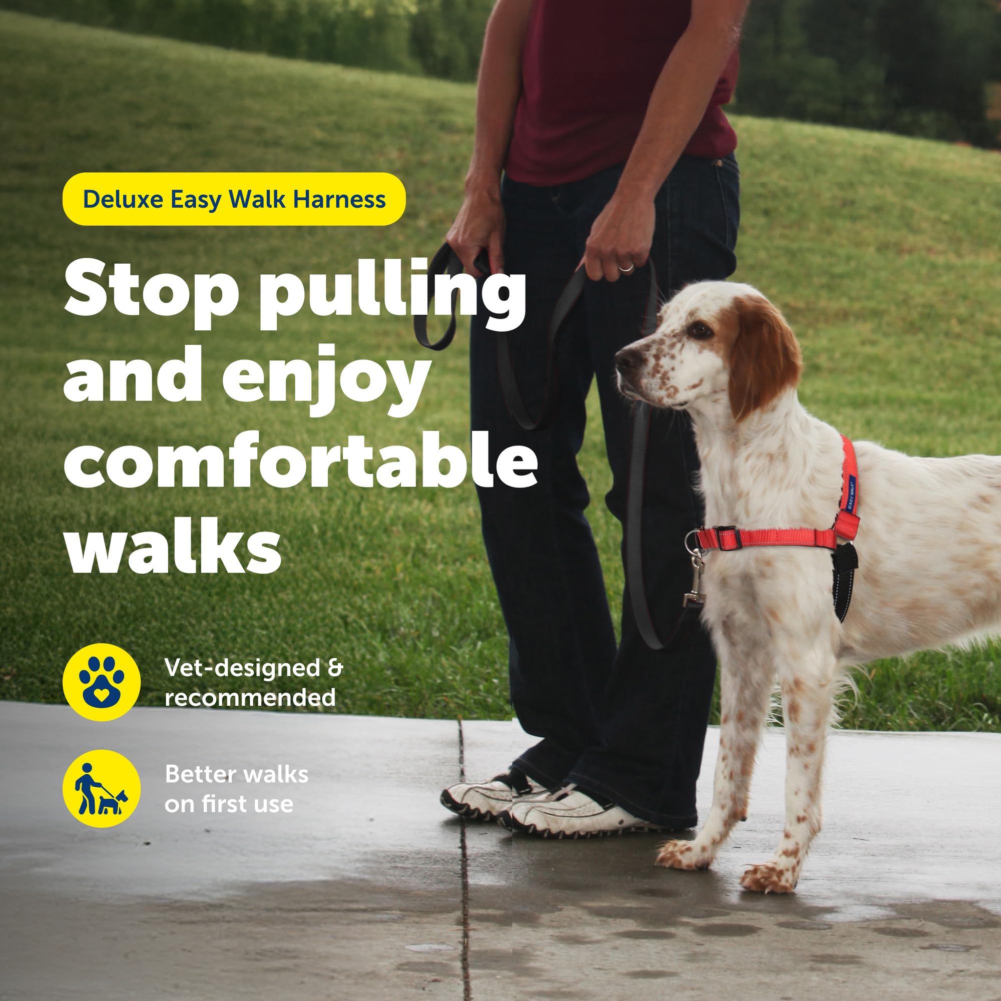 PetSafe Deluxe Easy Walk asa de control para maniobras seguras durante el paseo
