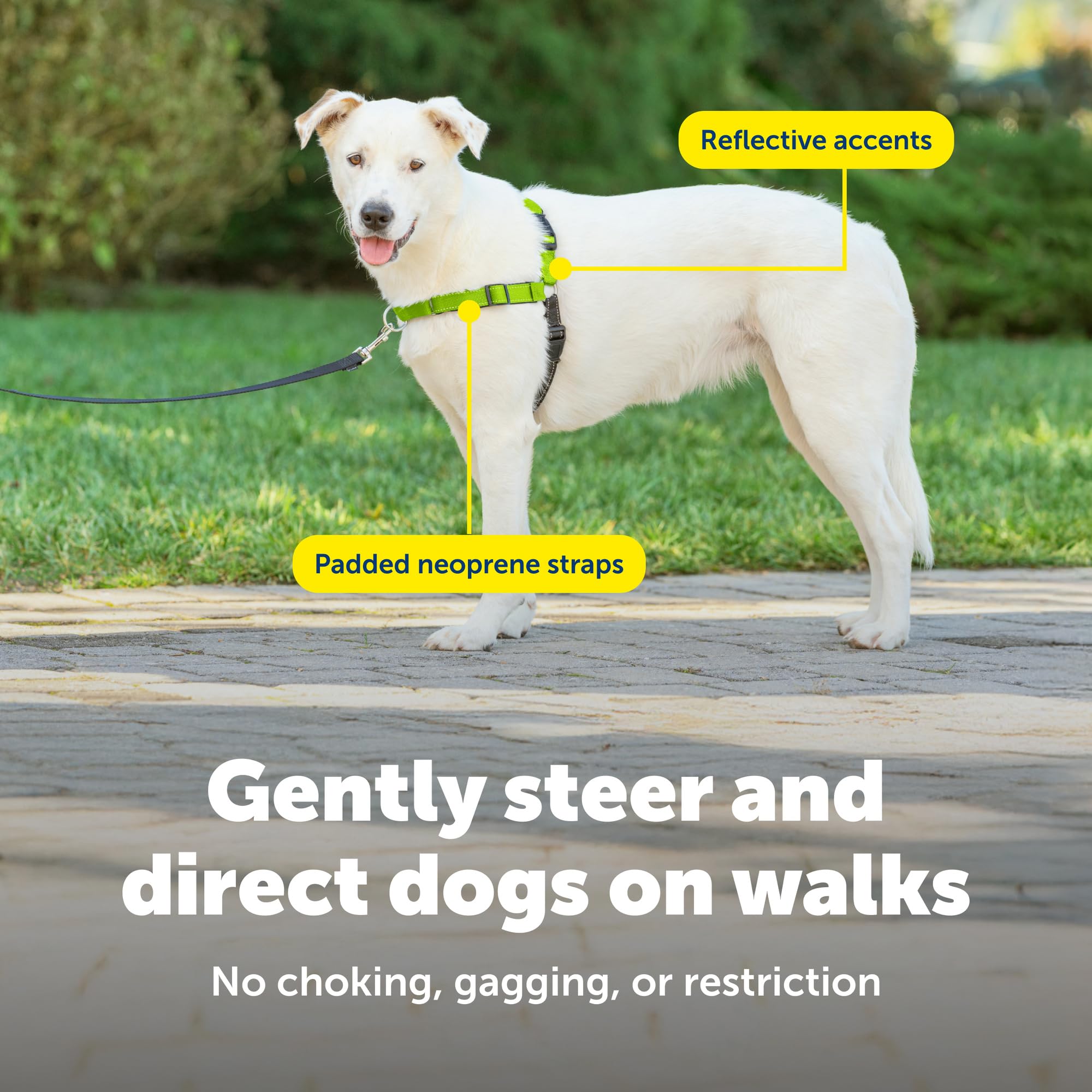 PetSafe Deluxe Easy Walk bandas-de-barriga-colores, fácil de colocar