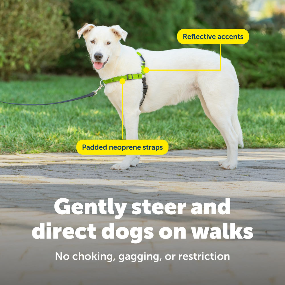 PetSafe Deluxe Easy Walk bandas-de-barriga-colores, fácil de colocar