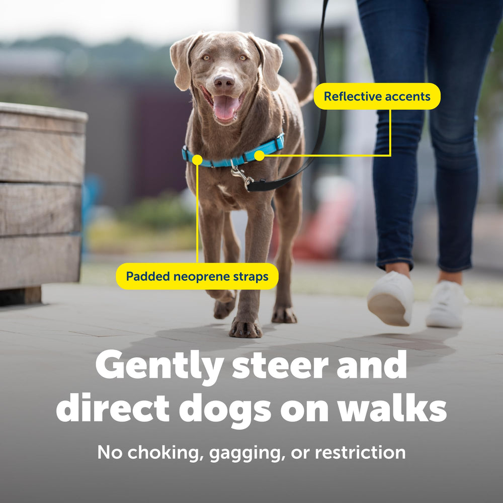 PetSafe Deluxe Easy Walk, asa de control para paseos más seguros.