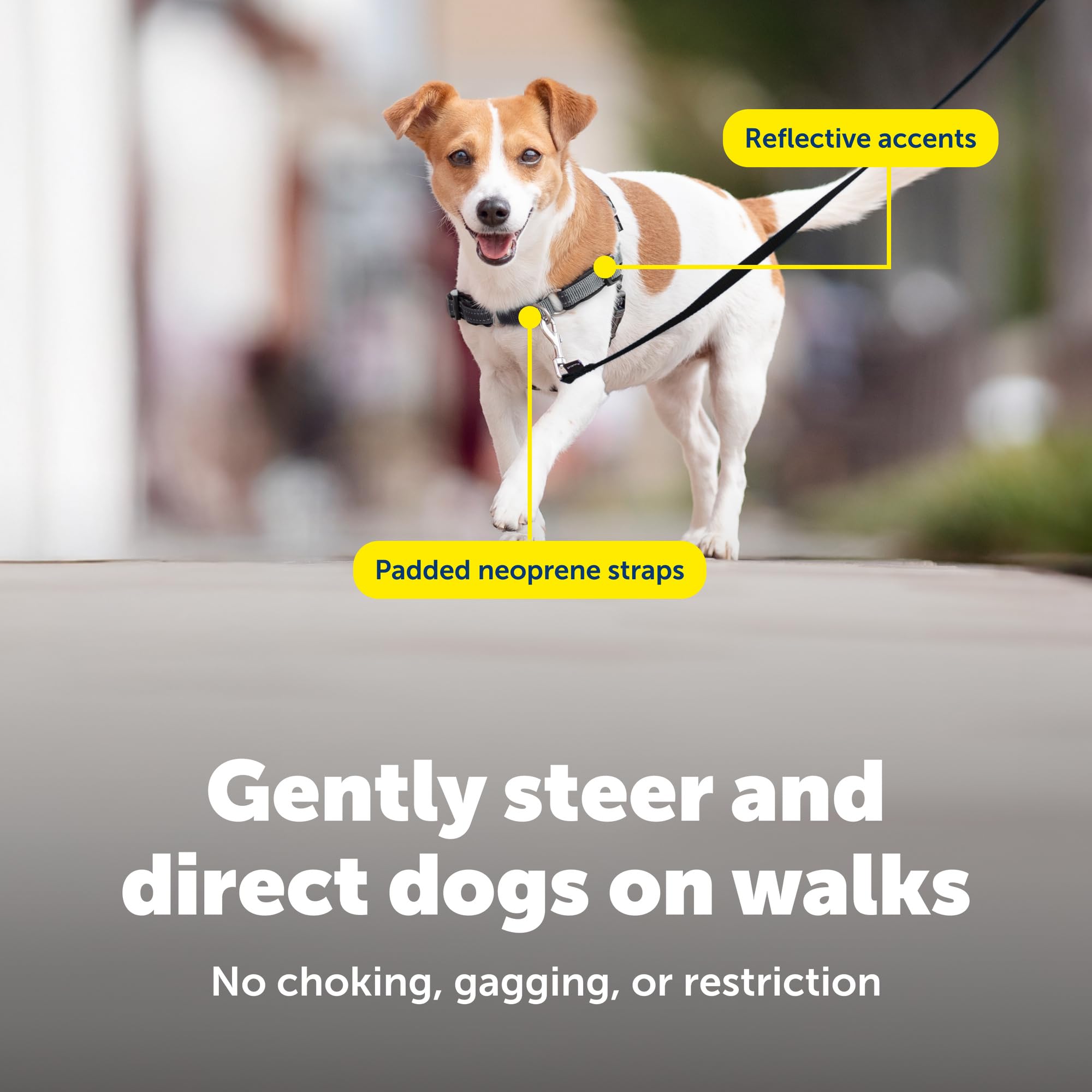PetSafe Deluxe Easy Walk Harness hebilla rápida: colocación rápida para salidas diarias.