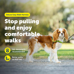 PetSafe Deluxe Easy Walk Harness neopreno ventilado: comodidad ligera durante paseos.