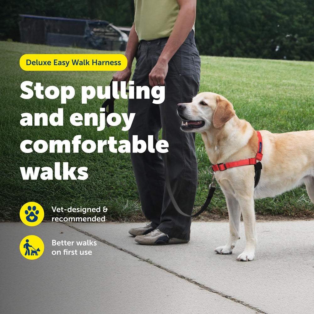Gancho frontal PetSafe Deluxe Easy Walk facilita dirigir al perro.