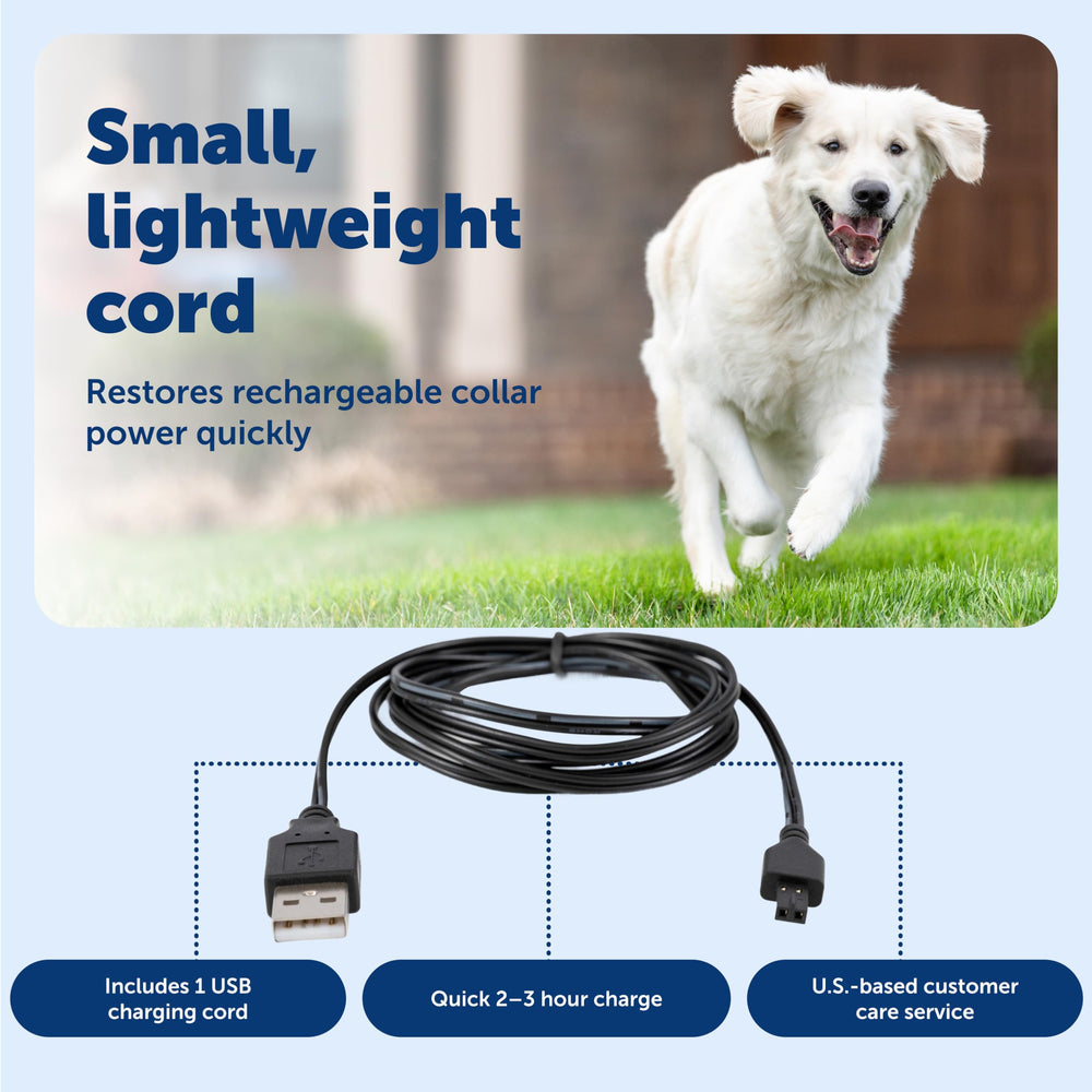 PetSafe diseño portátil y compacto, ideal para viajes con el collar recargable.