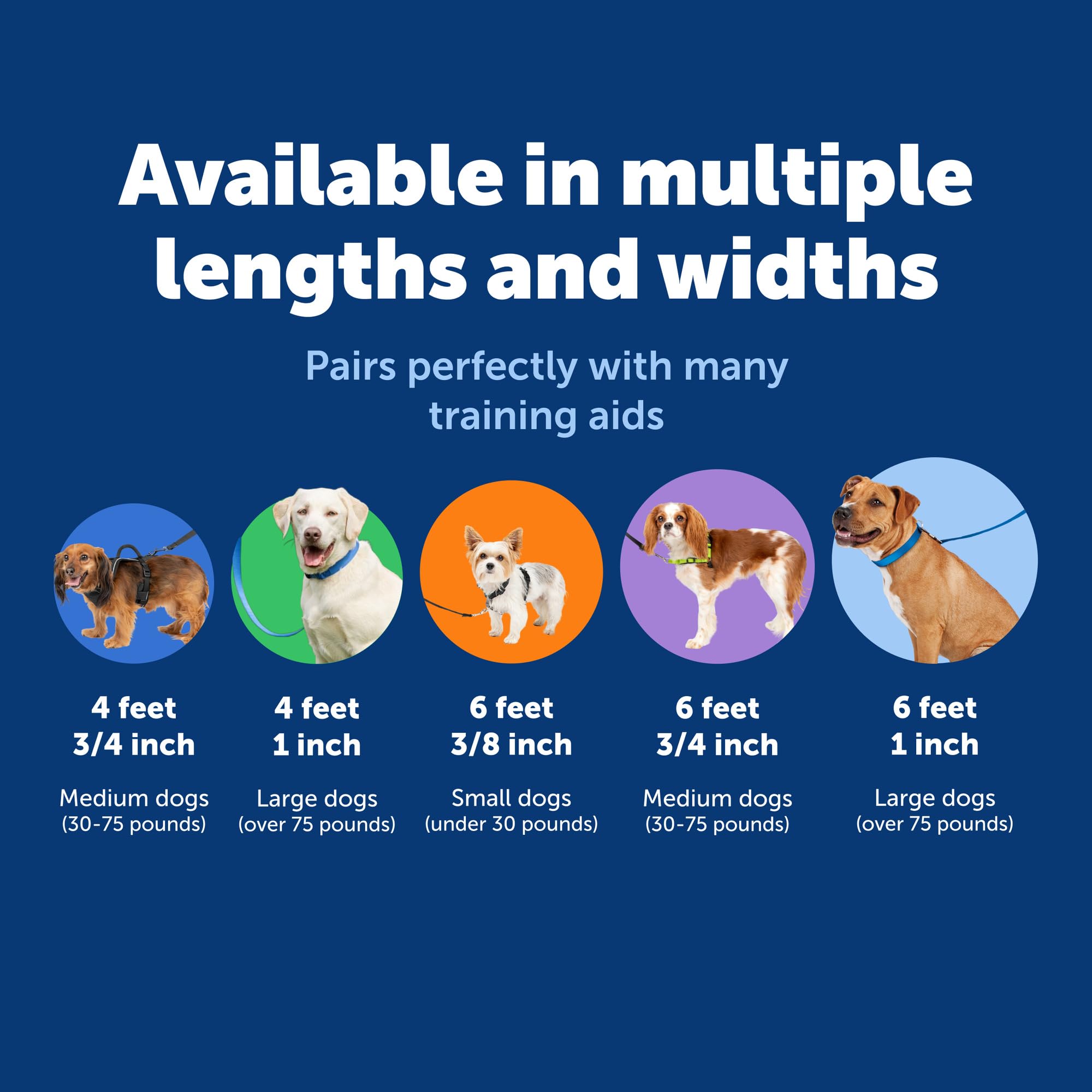 PetSafe: evita nudos con diseño anti-enredos para paseos fluidos