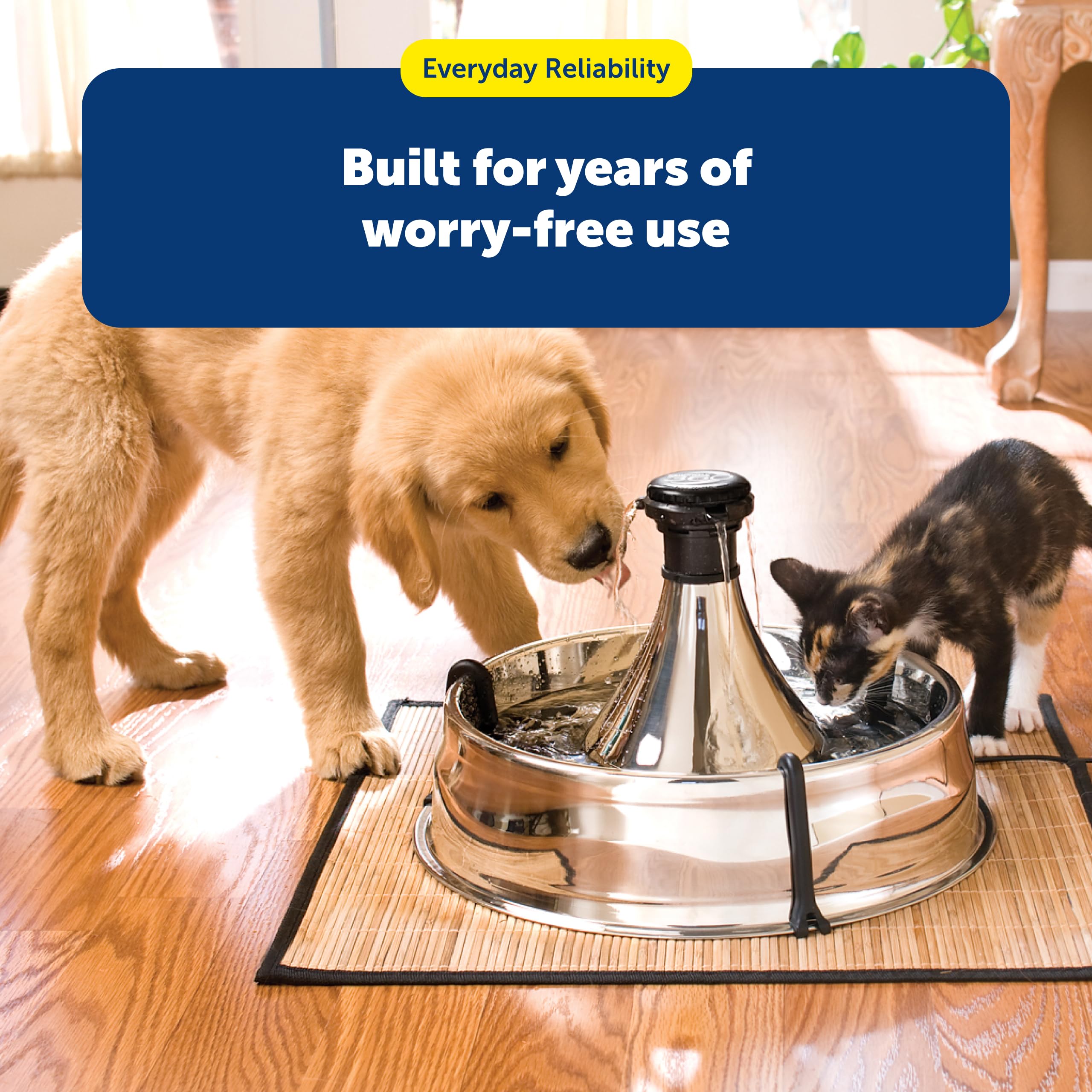 Petsafe Drinkwell 360, apta para lavavajillas en rejilla superior.