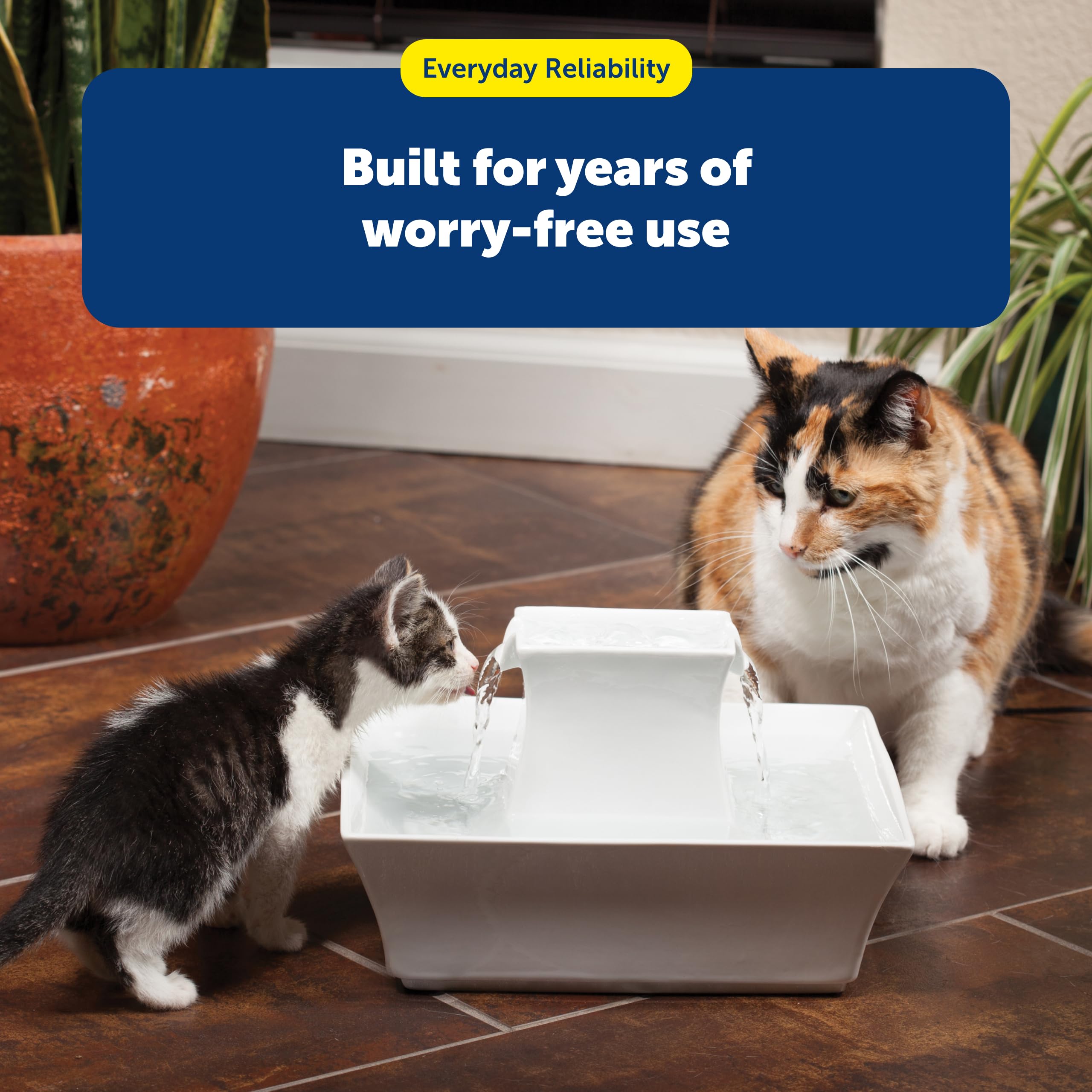 PetSafe Drinkwell: herramientas de limpieza para prevenir obstrucciones y mantener el rendimiento
