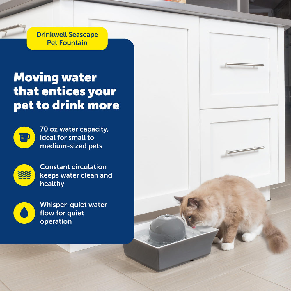 PetSafe Drinkwell flujo suave, ideal para mascotas sensibles al sonido.