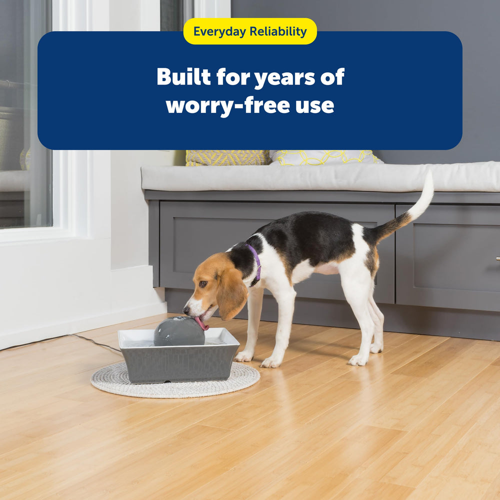 PetSafe Drinkwell limpieza fácil, apto para lavavajillas y mantenimiento simple.