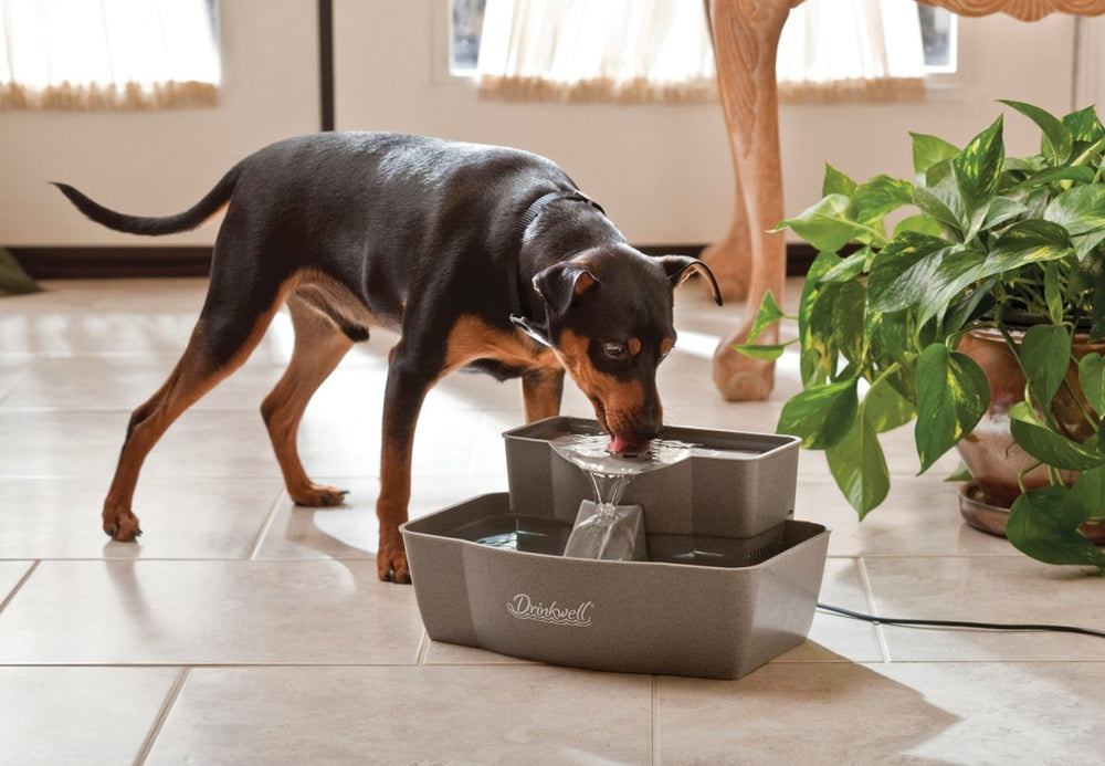 PetSafe Drinkwell Multi-Tier: fuente inferior para múltiples áreas de bebida en mascotas.