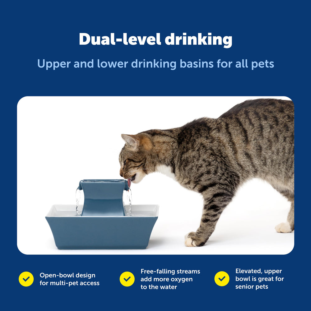 PetSafe Drinkwell Pagoda diseño sencillo que combina con cualquier ambiente.