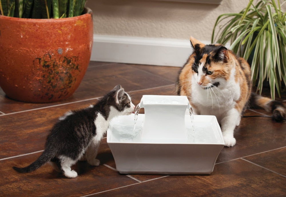 PetSafe Drinkwell Pagoda, doble corriente que anima a beber más agua.