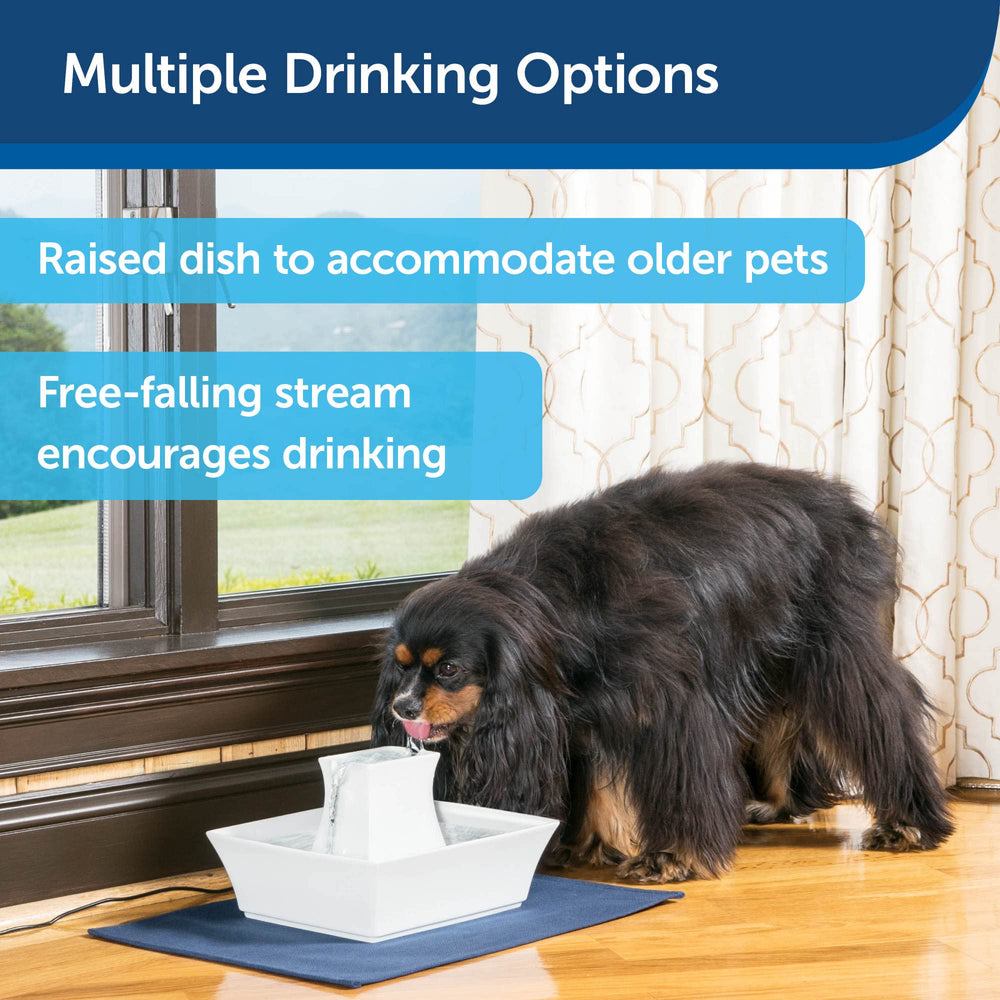 PetSafe Drinkwell Pagoda, sistema antiderrame para suelos limpios.