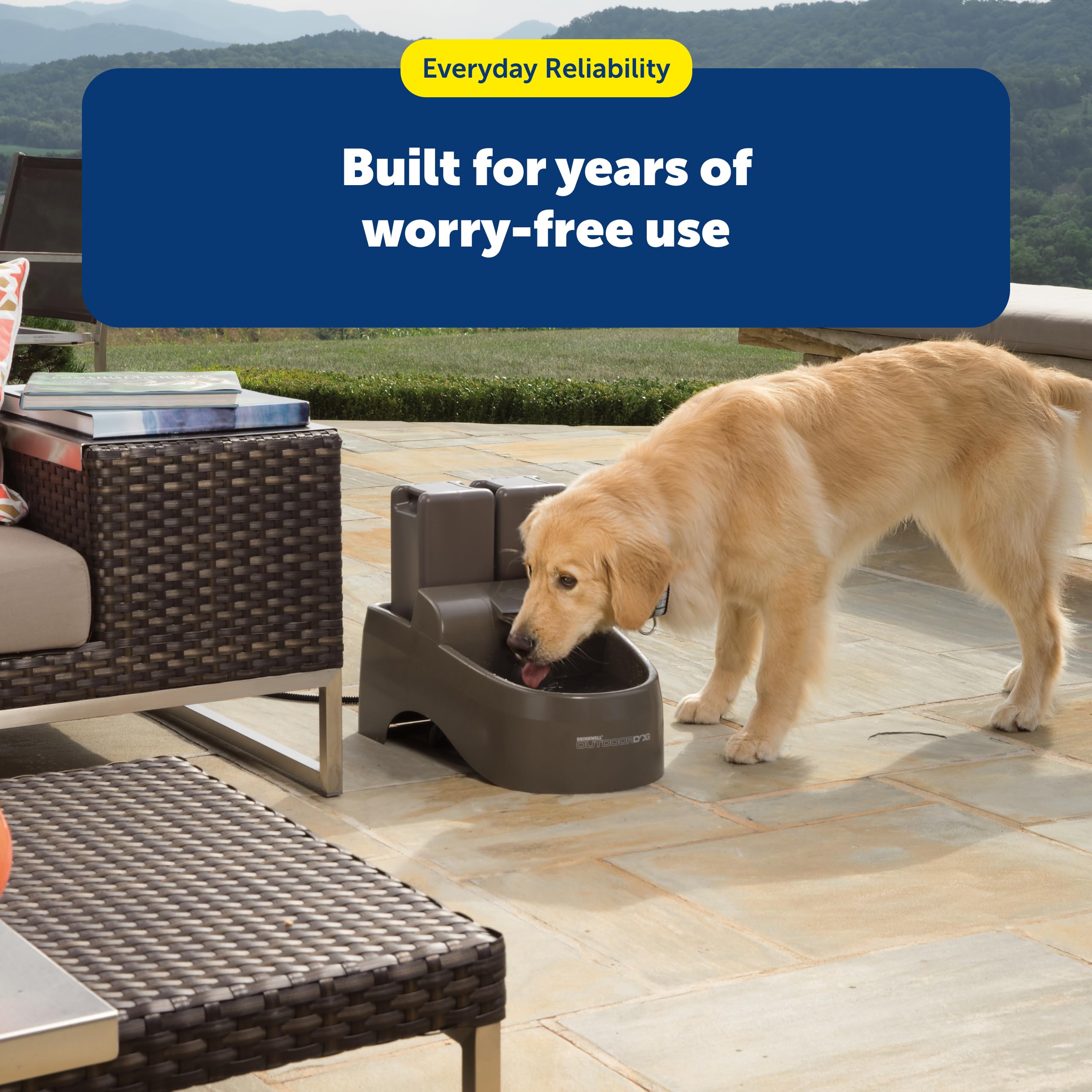Aumento de vida útil de la fuente PetSafe Drinkwell con filtros