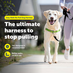 Ajuste cómodo de PetSafe Easy Walk para colocar fácilmente.