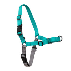 PetSafe Easy Walk visto de frente con martingale para control suave durante el paseo.