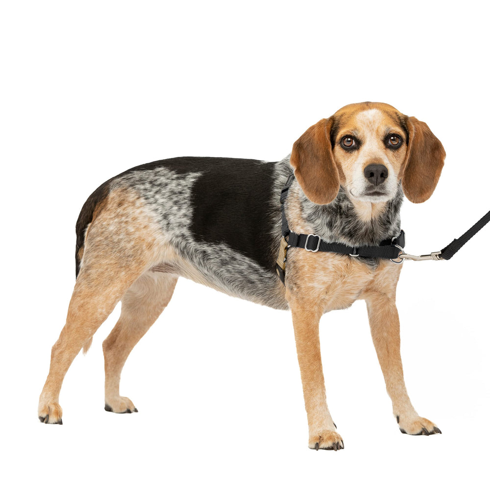 PetSafe Easy Walk: arnés frontal para reducir tirones durante paseos