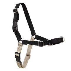 Petsafe Easy Walk frente al pecho, ayuda a reducir tirones con el bucle martingale.