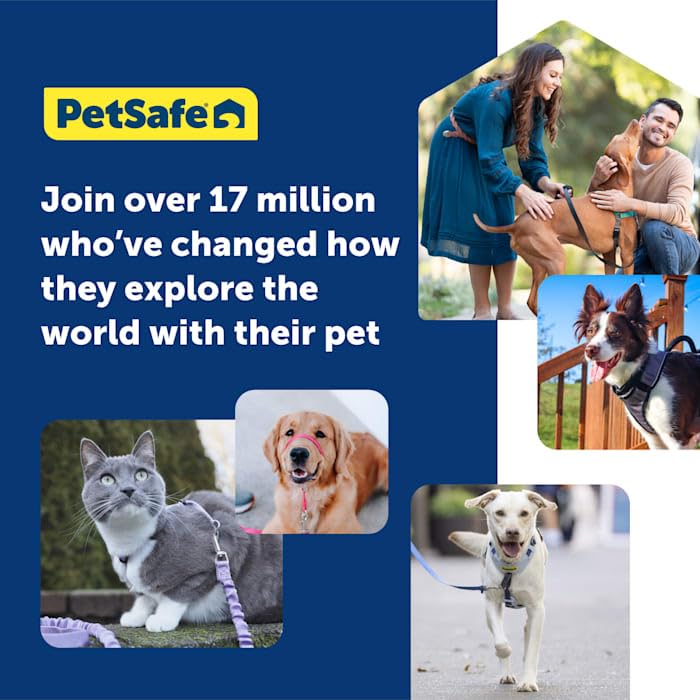 PetSafe Easy Walk: asa de control rápido para manejo ágil