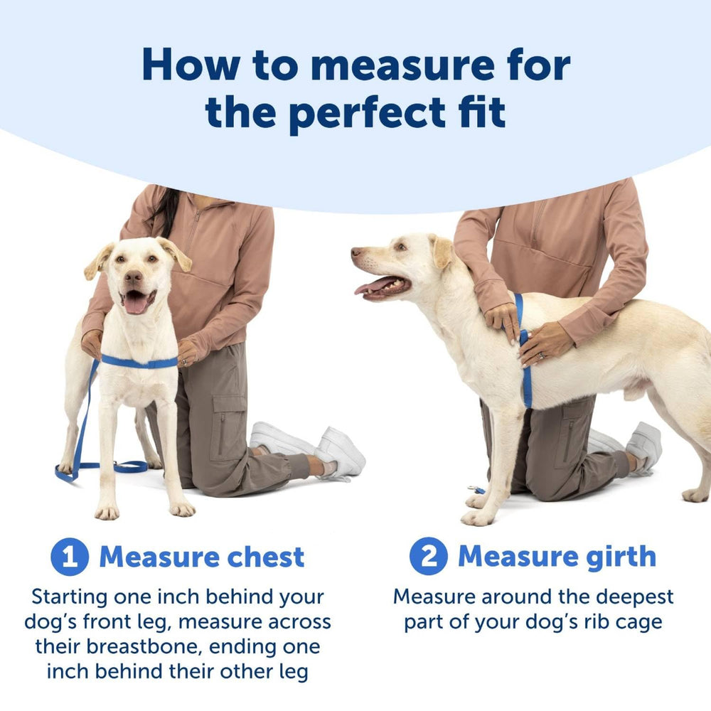 PetSafe Easy Walk arnés duradero y seguro para caminatas al aire libre.