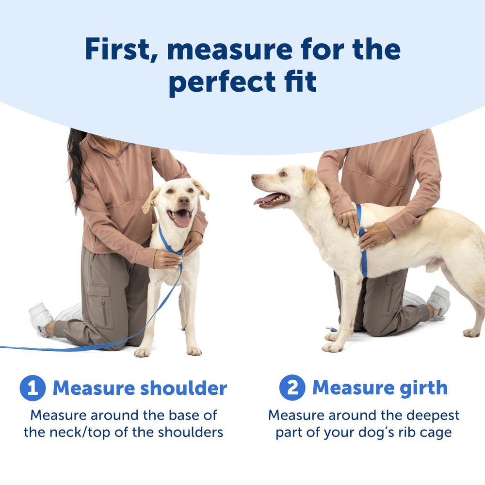 PetSafe Easy Walk Comfort bucle martingale frontal, ayuda a corregir tirones de forma sutil