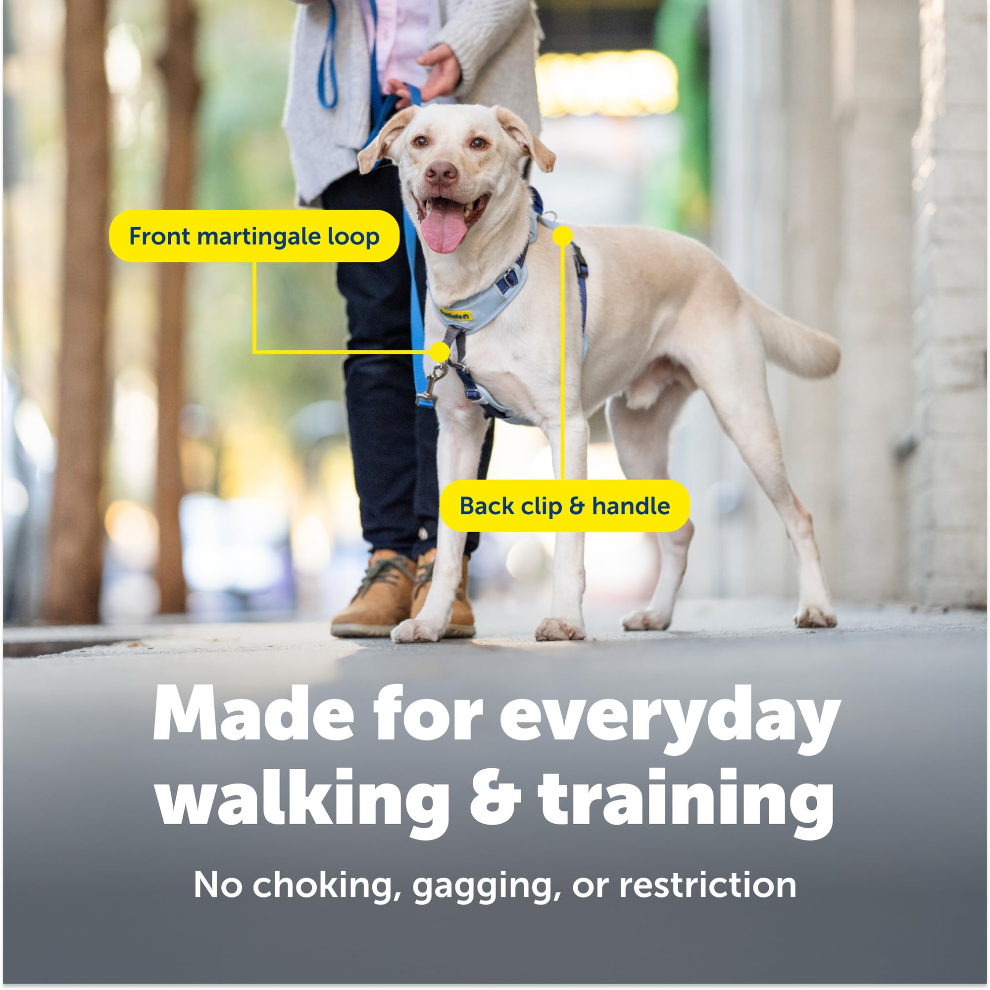 PetSafe Easy Walk Comfort hebillas del hombro, colocación rápida y fácil