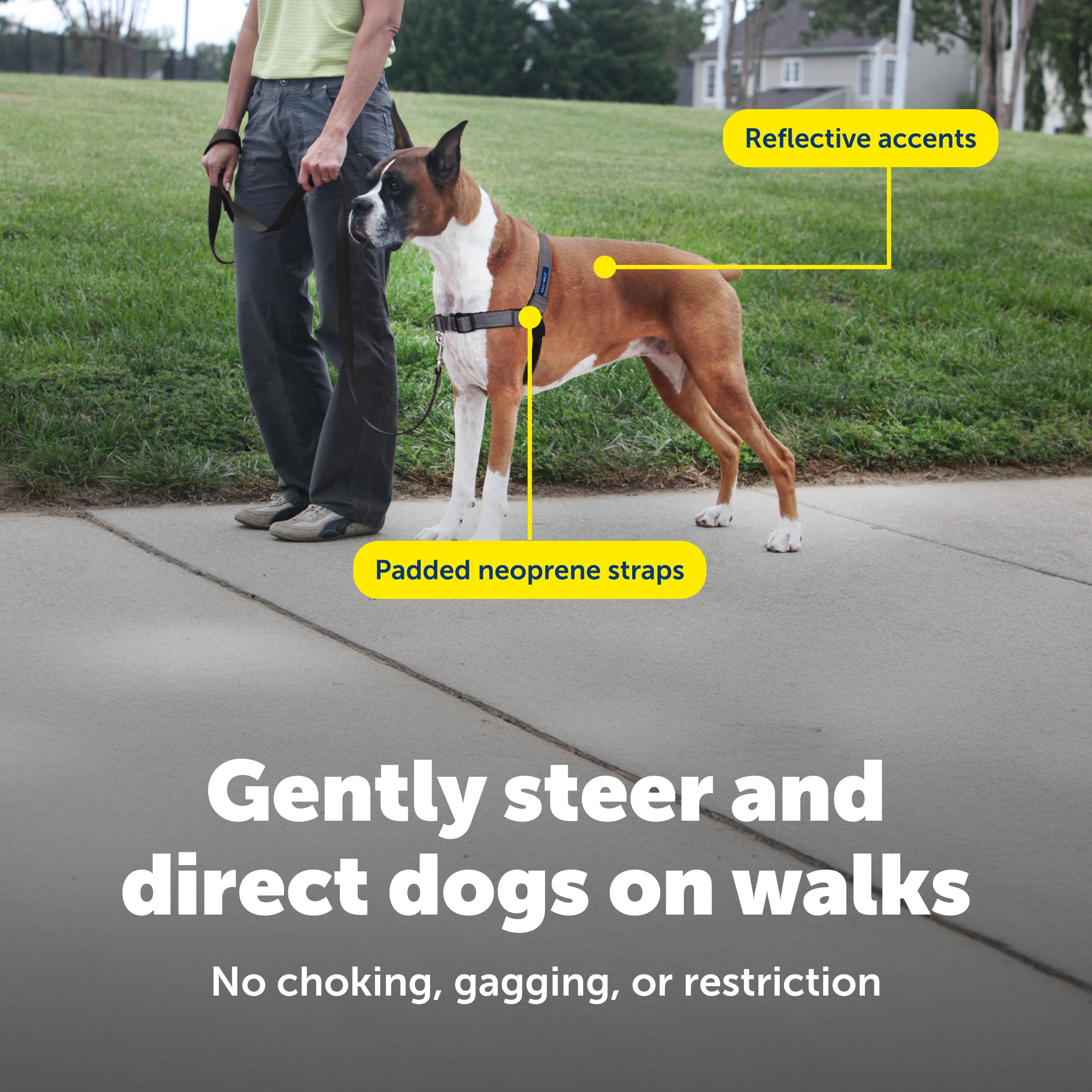 PetSafe Easy Walk Deluxe: confort en el pecho para caminatas largas