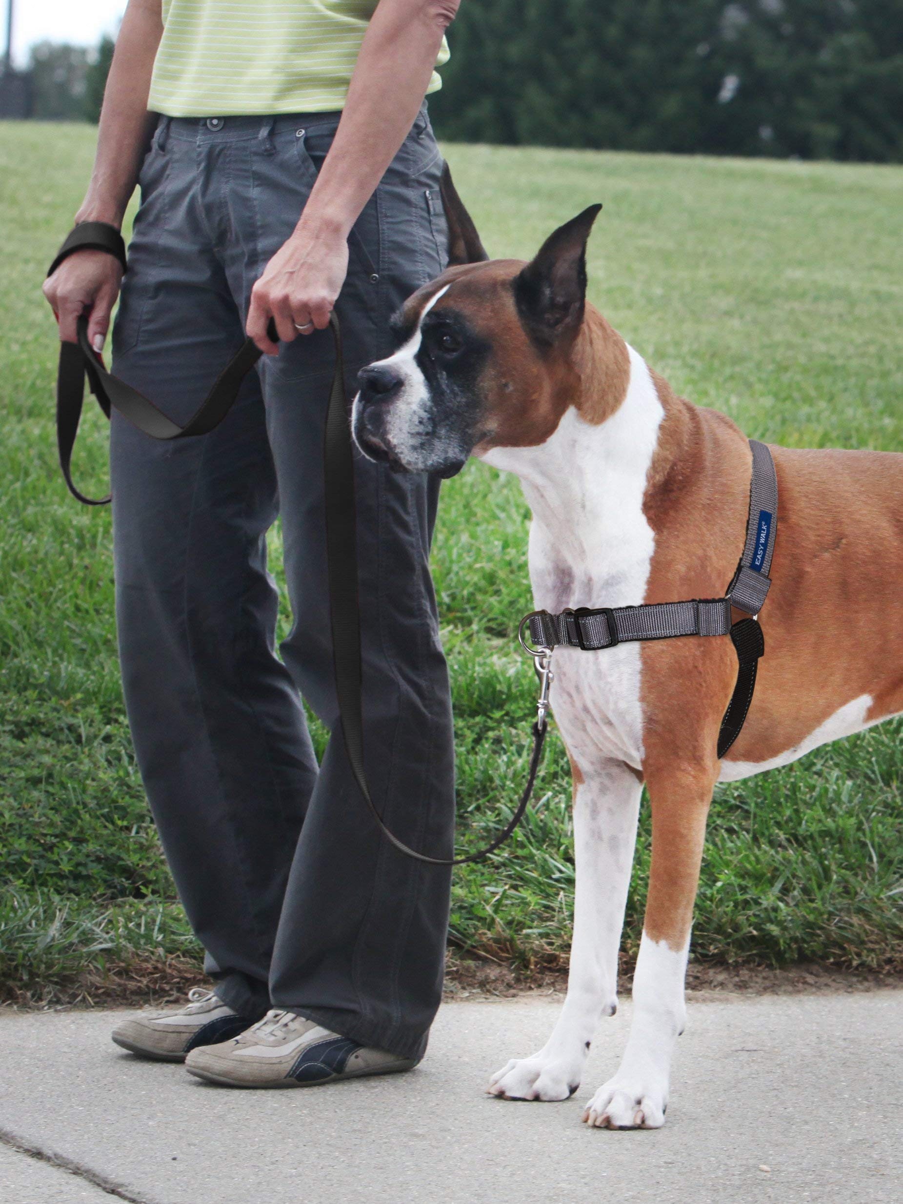 PetSafe Easy Walk Deluxe: correas de neopreno para mayor confort del perro