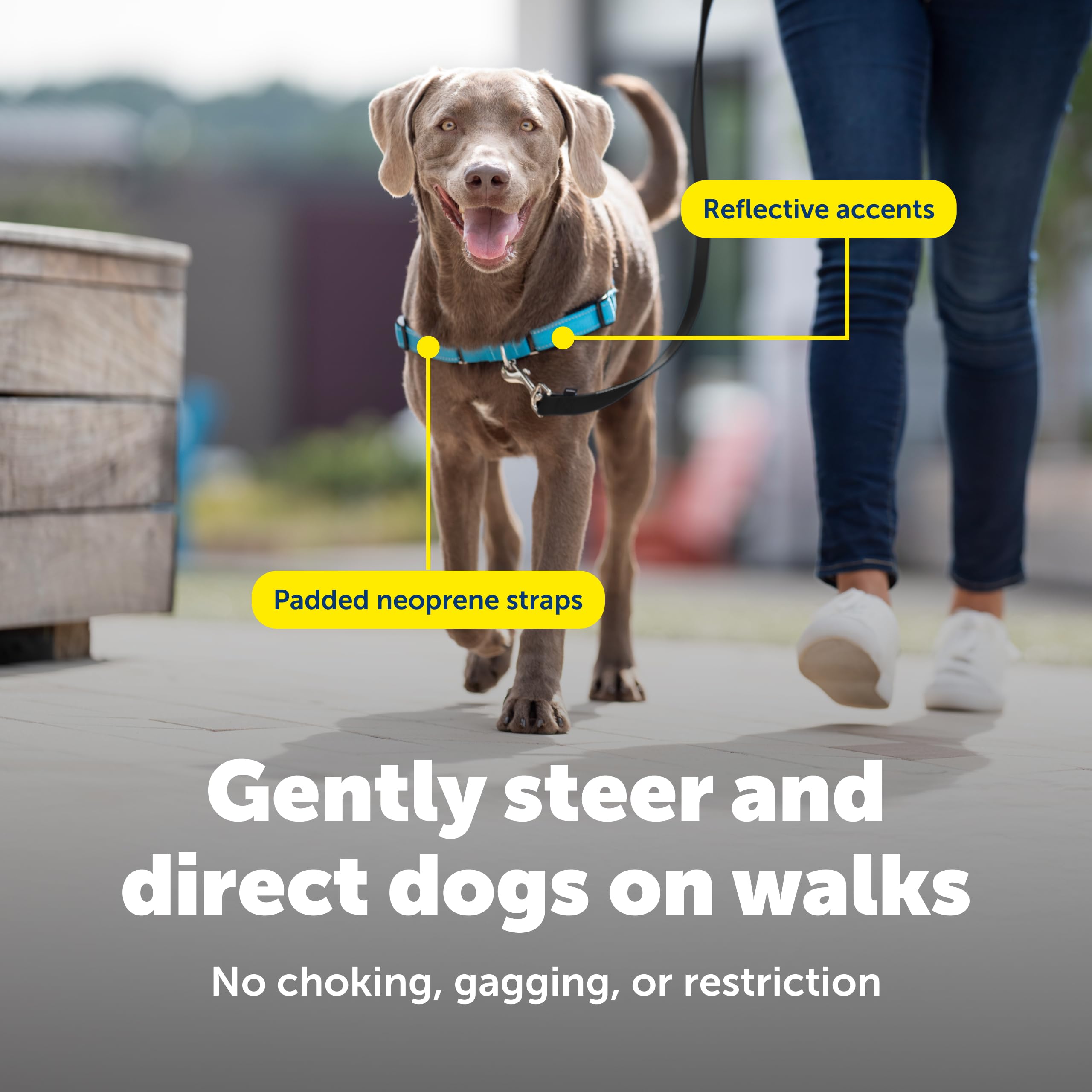 PetSafe Easy Walk Deluxe diseño veterinario confiable para entrenamiento de paseo