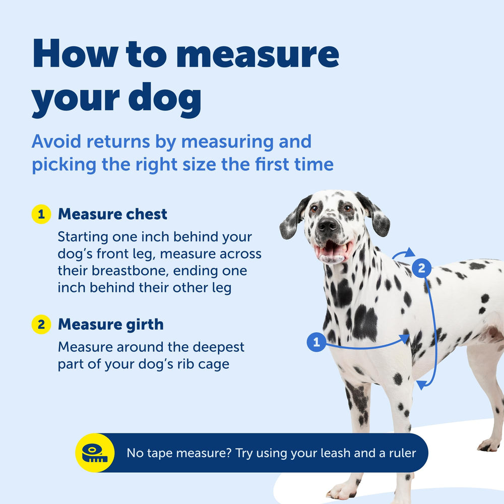 PetSafe Easy Walk: arnés cómodo y ligero para paseos diarios.